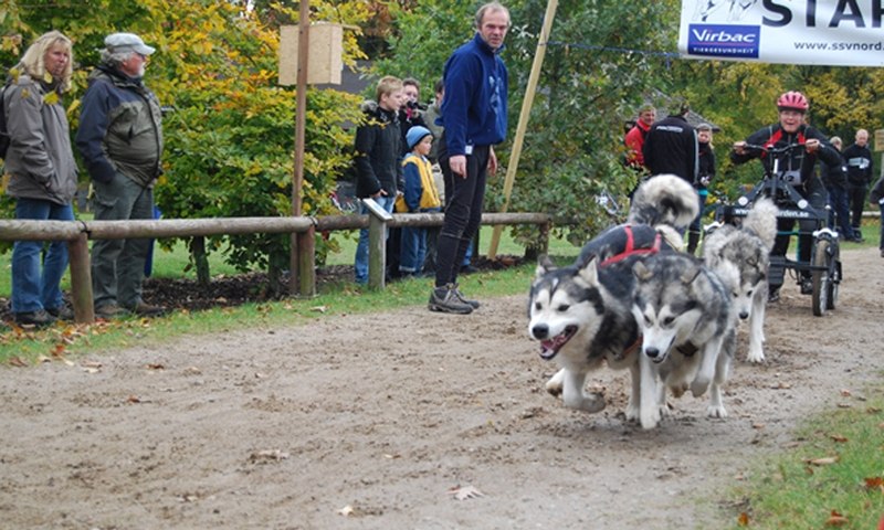 Event Foto