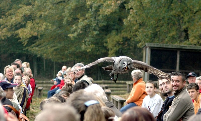 Event Foto