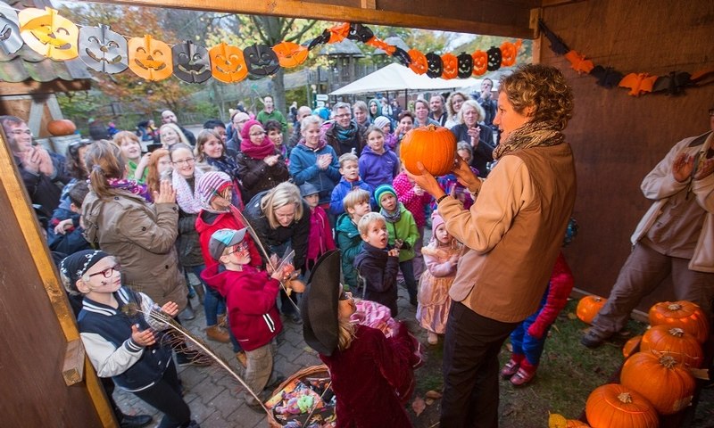 Event Foto