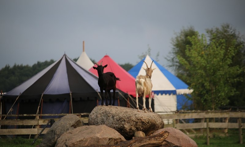 Event Foto
