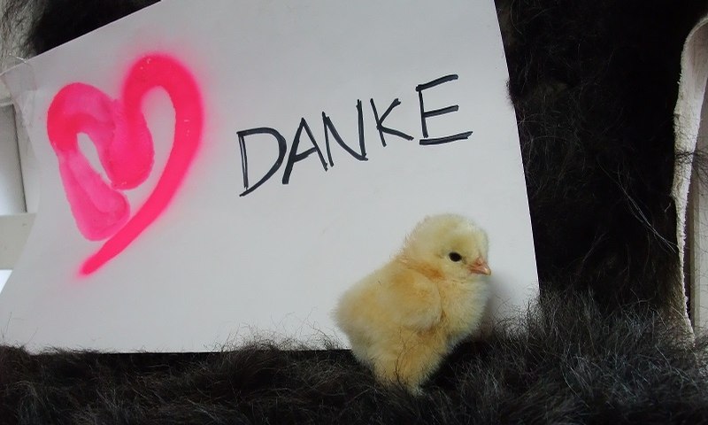 Event Foto