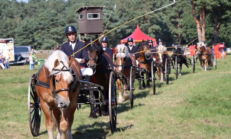 Event Foto