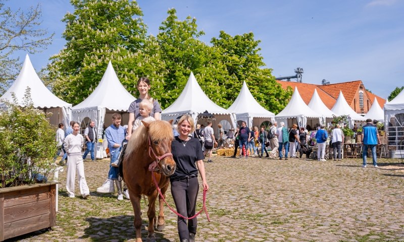 Event Foto
